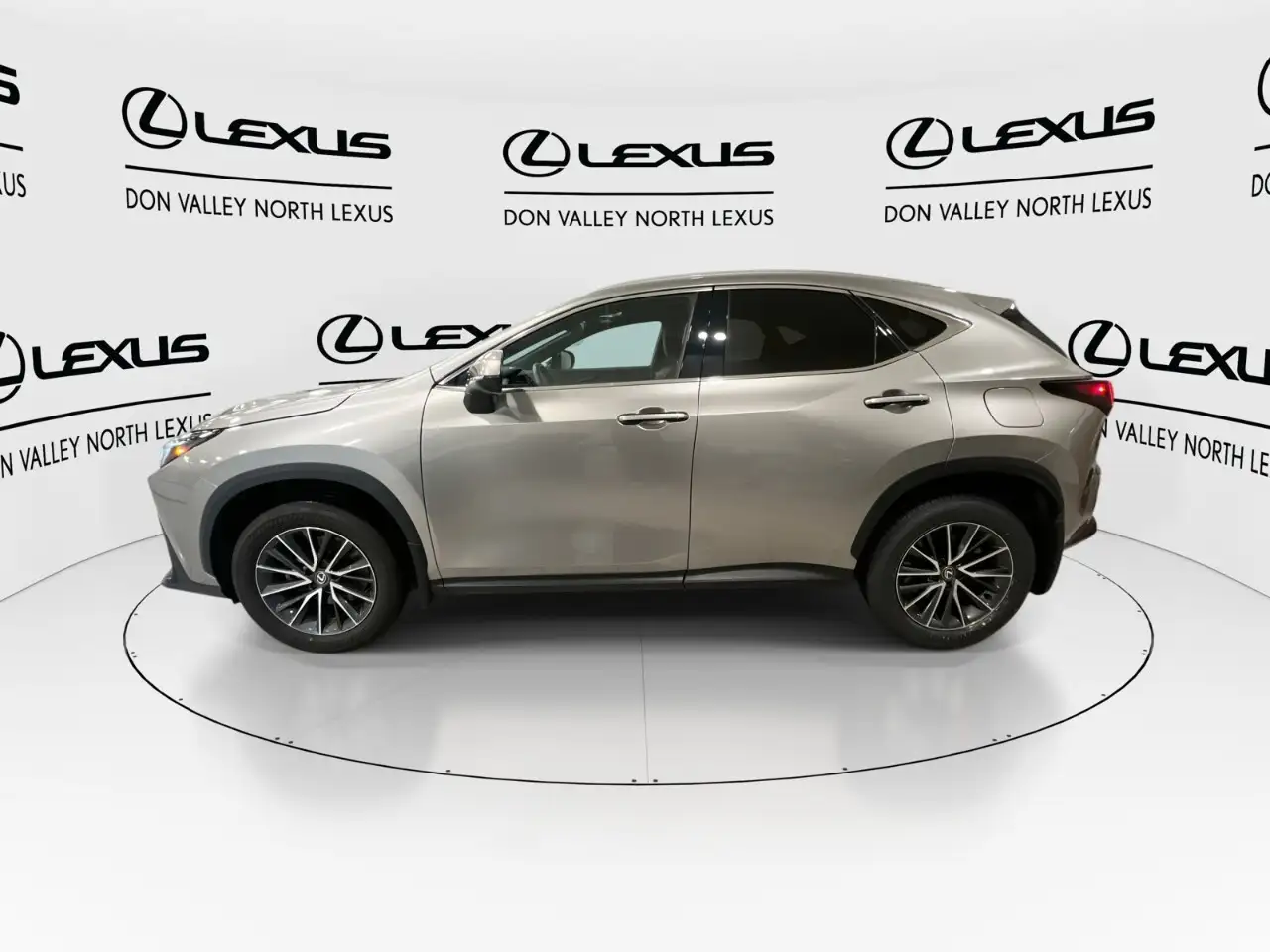Lexus NX - Image 5