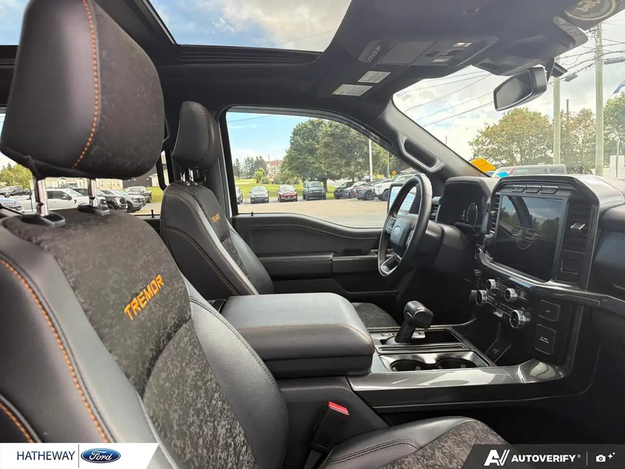Ford F-150 - Image 22