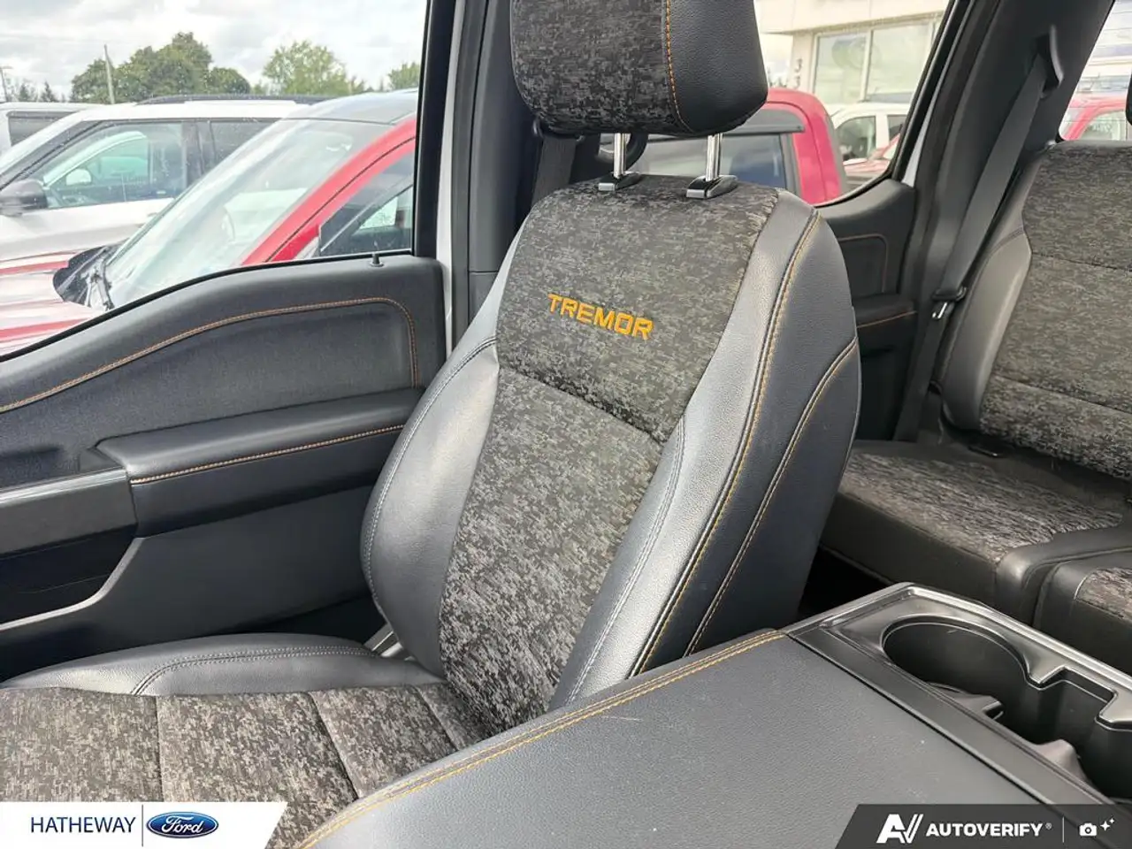 Ford F-150 - Image 20