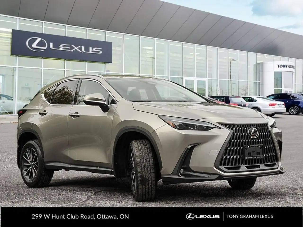 Lexus NX 350h