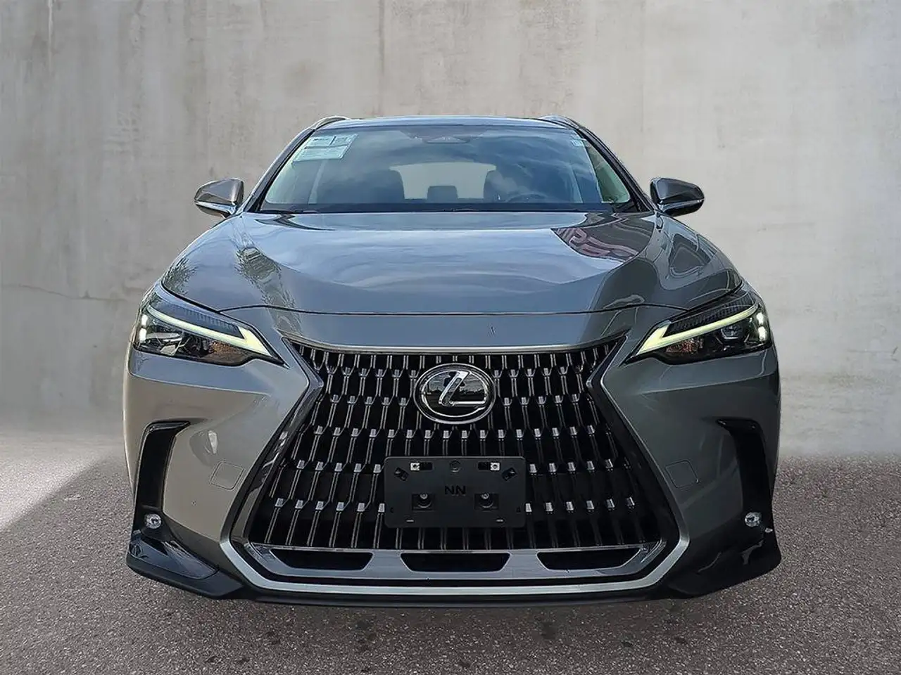 Lexus NX - Image 10