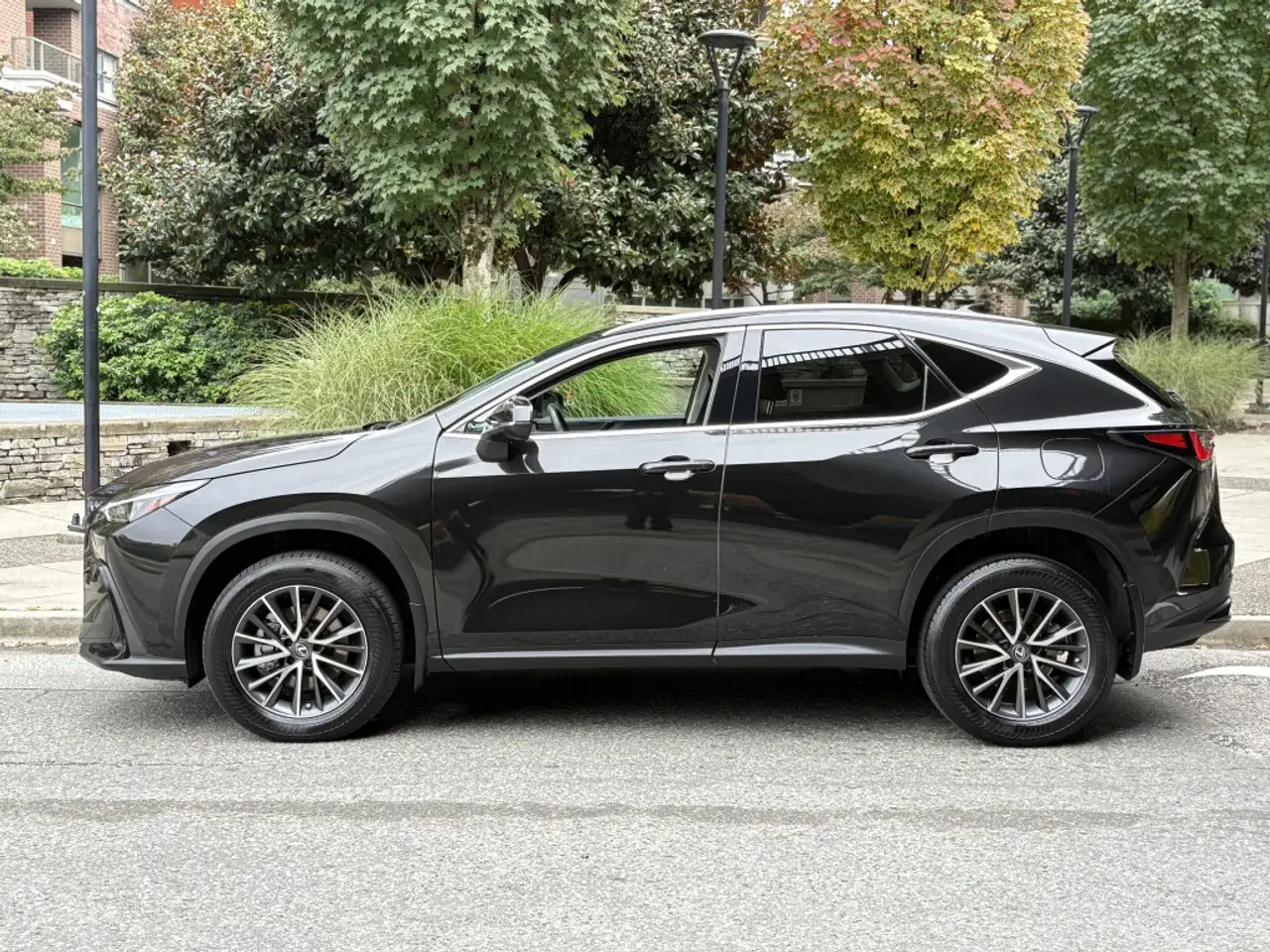 Lexus NX 350h - Image 4