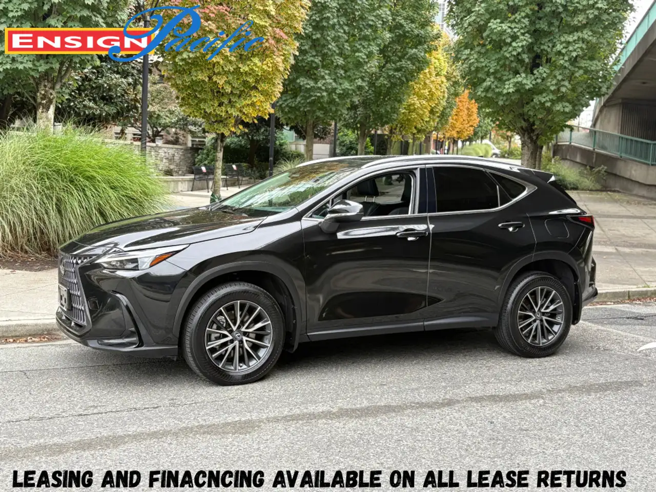 Lexus NX 350h - Image 1