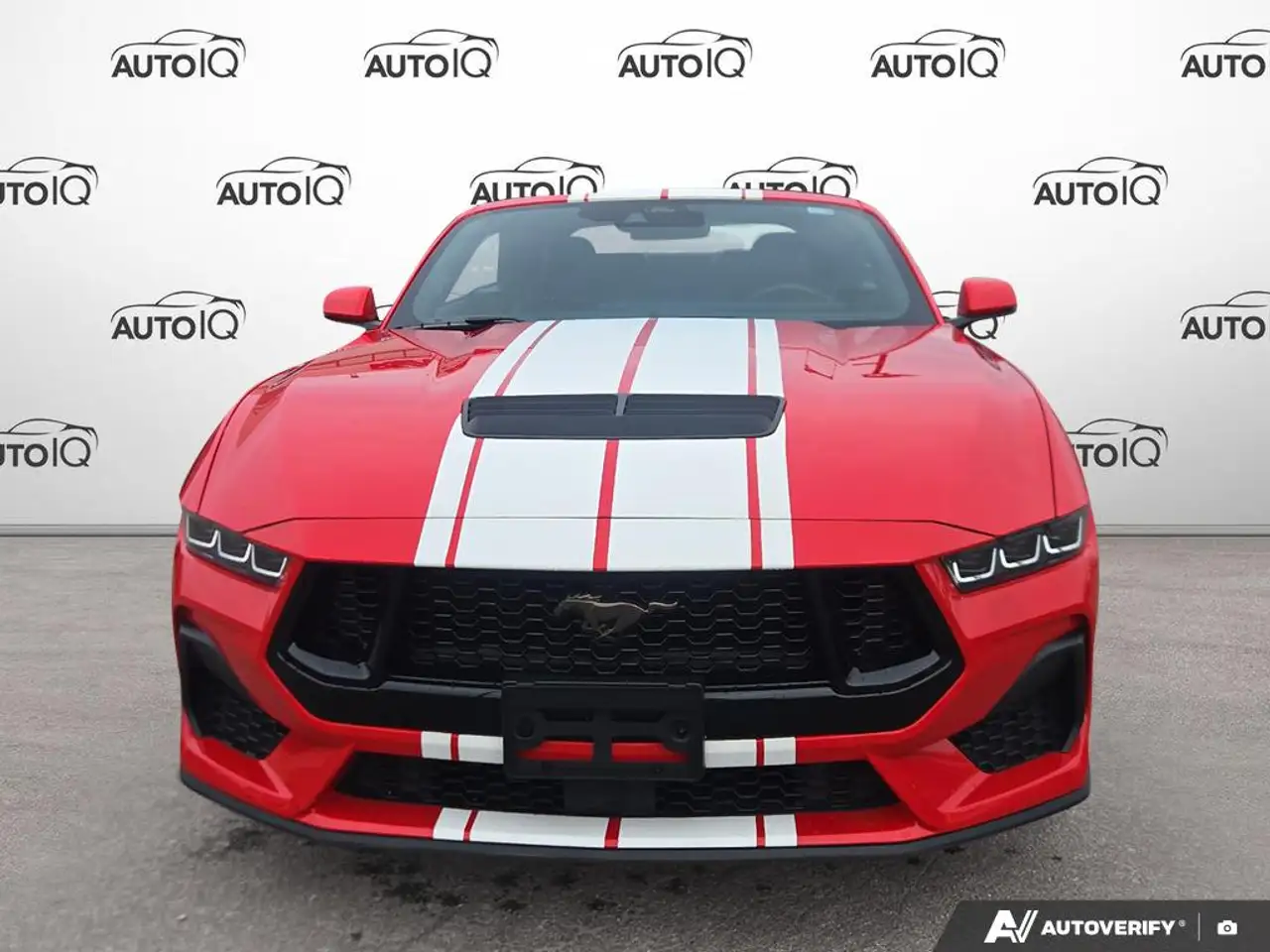 Ford Mustang - Image 2