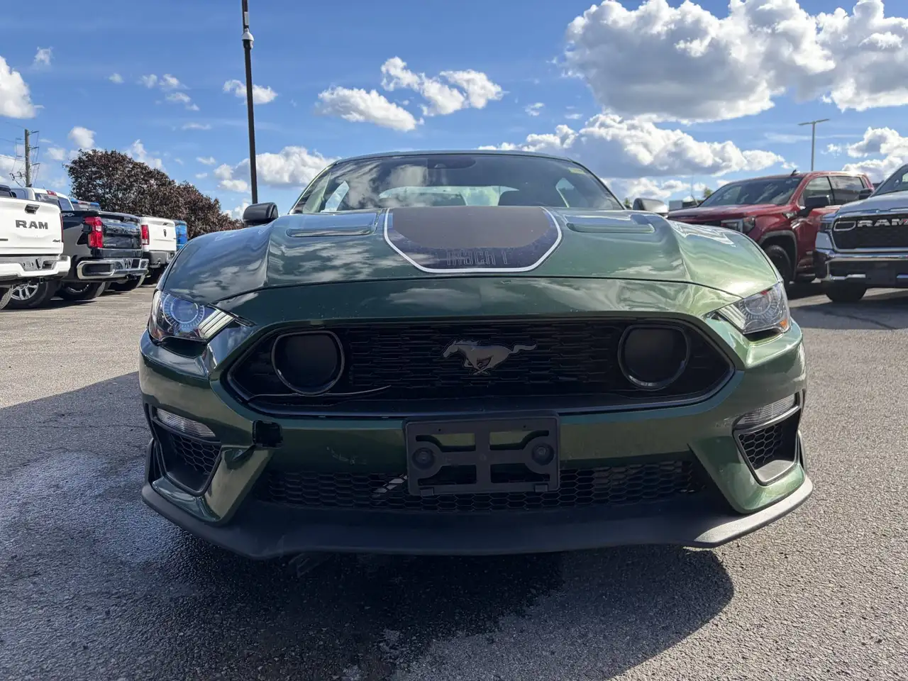 Ford Mustang - Image 2