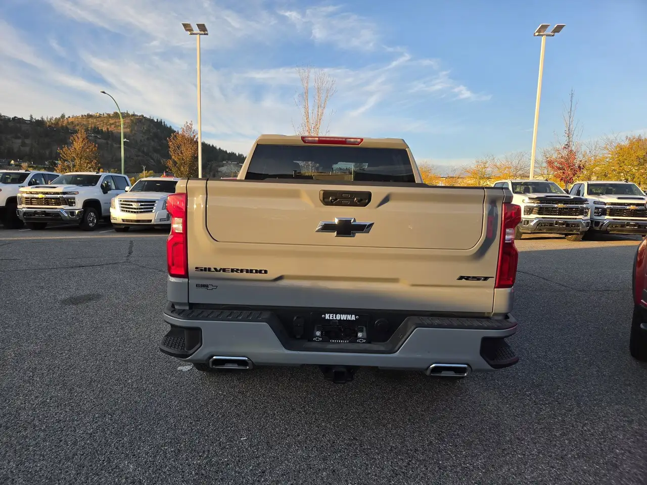 Chevrolet Silverado 1500 - Image 4