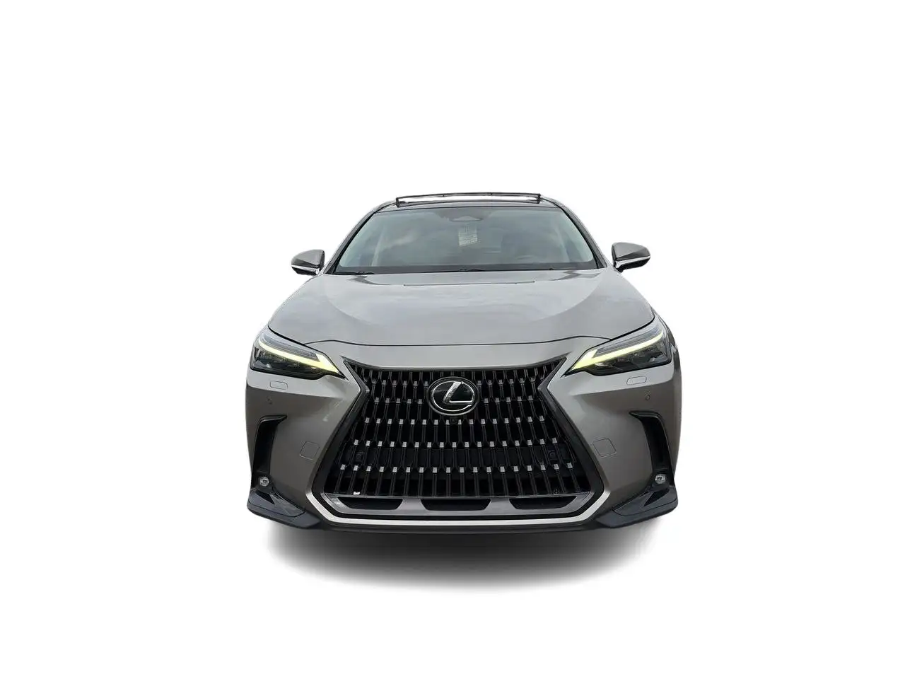 Lexus NX - Image 4