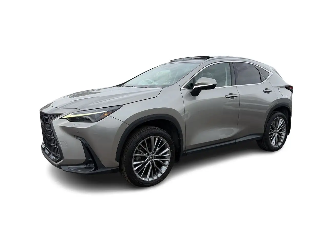 Lexus NX - Image 7