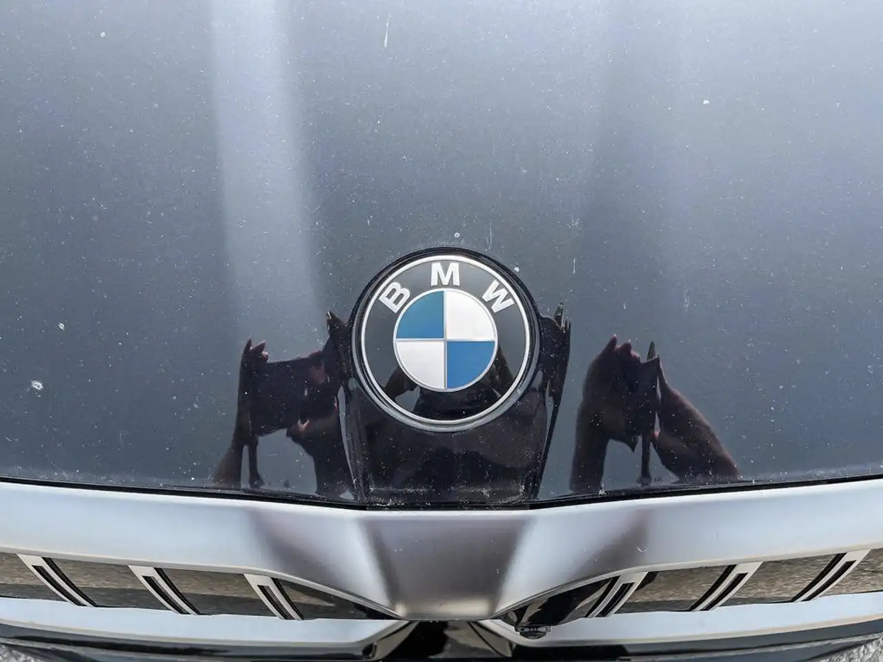 BMW 5 Series - Image 13