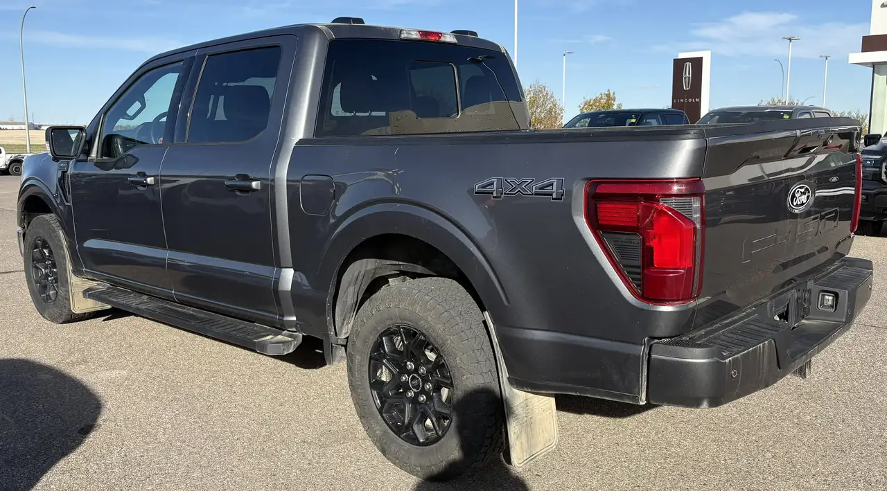 Ford F-150 - Image 3