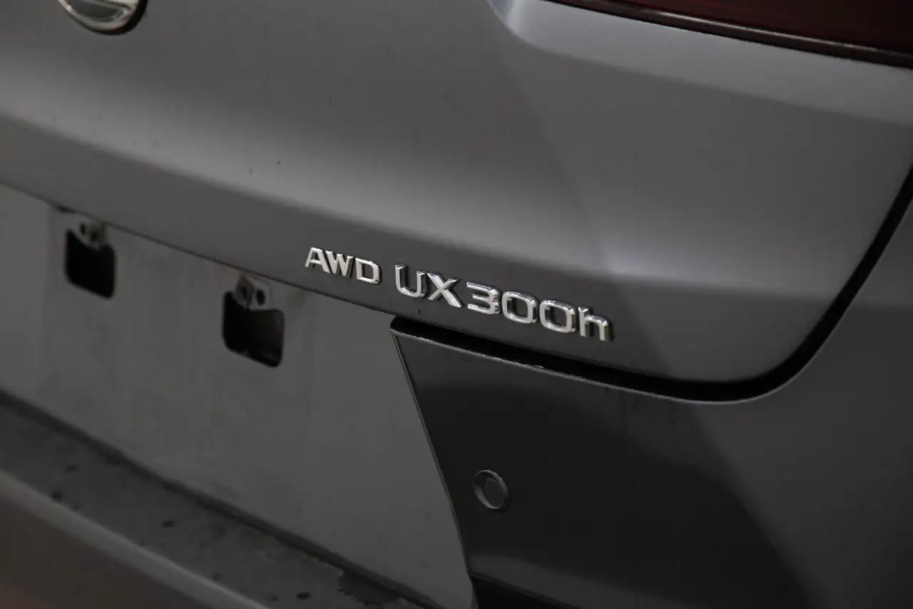 Lexus UX 300h - Image 7