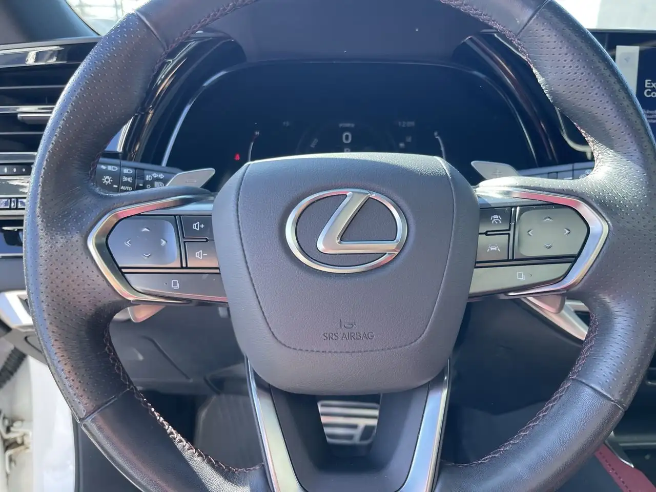 Lexus RX - Image 22