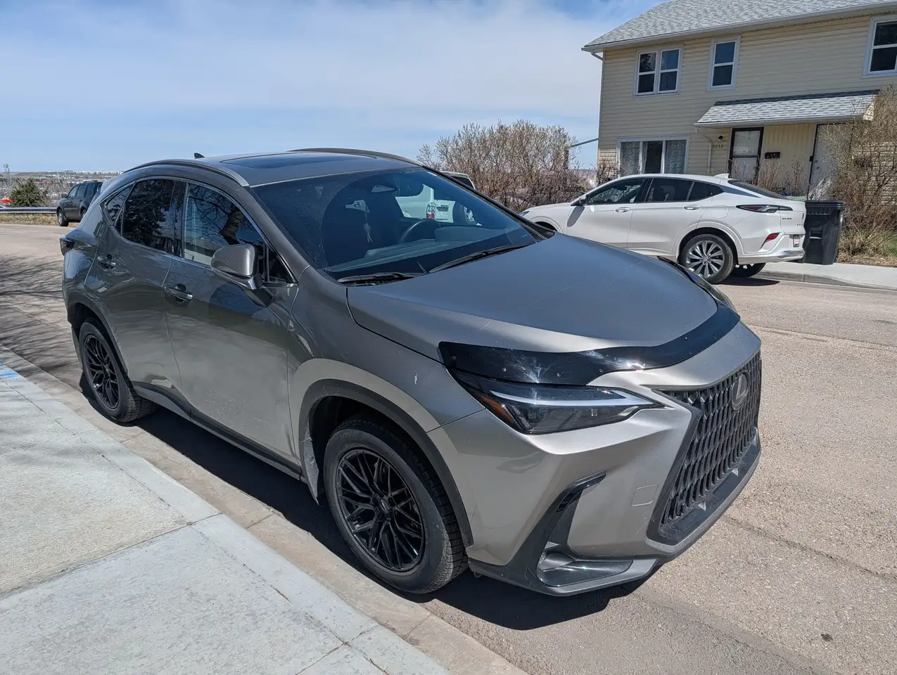 Lexus NX - Image 1