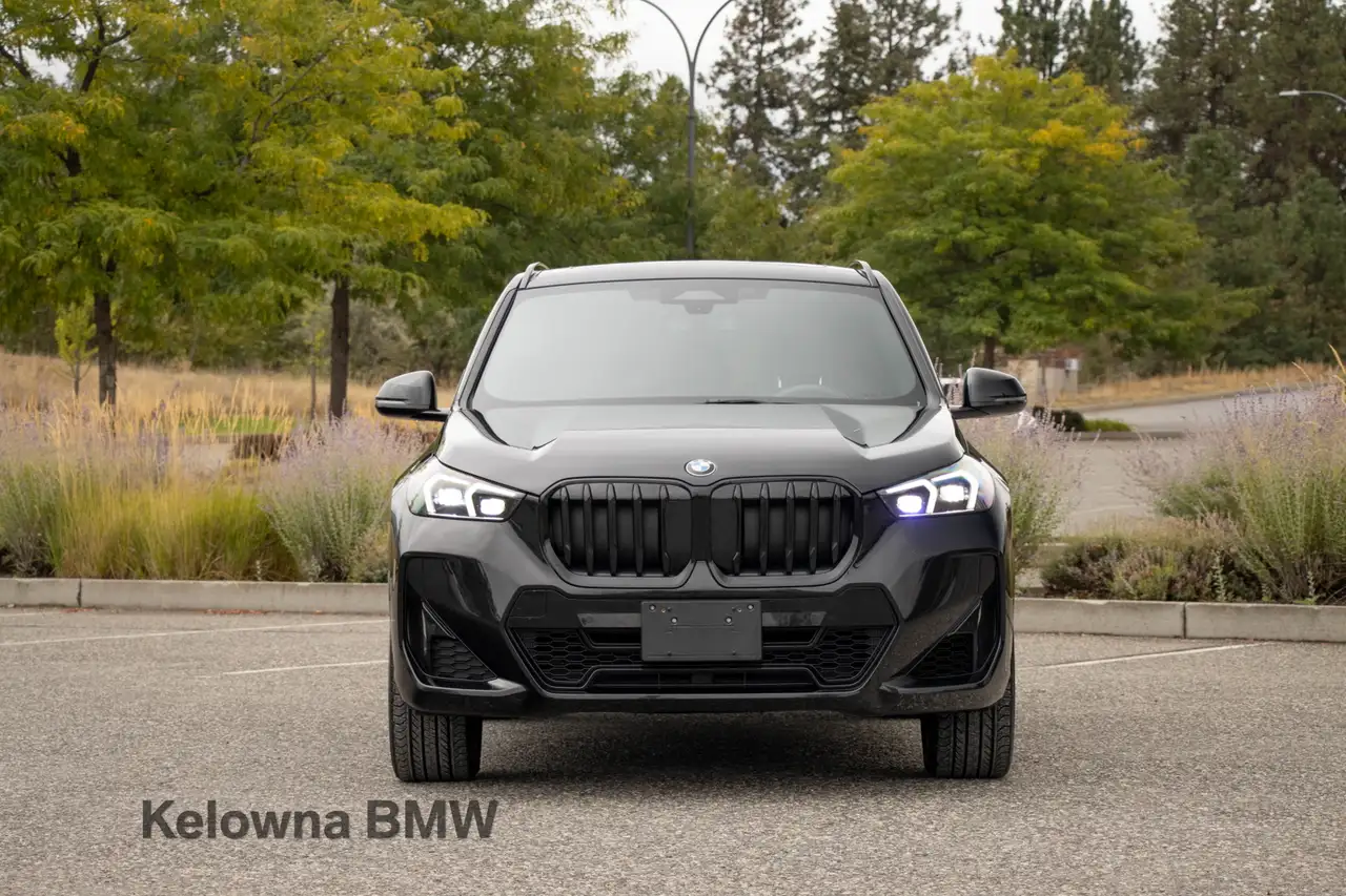BMW X1 - Image 3