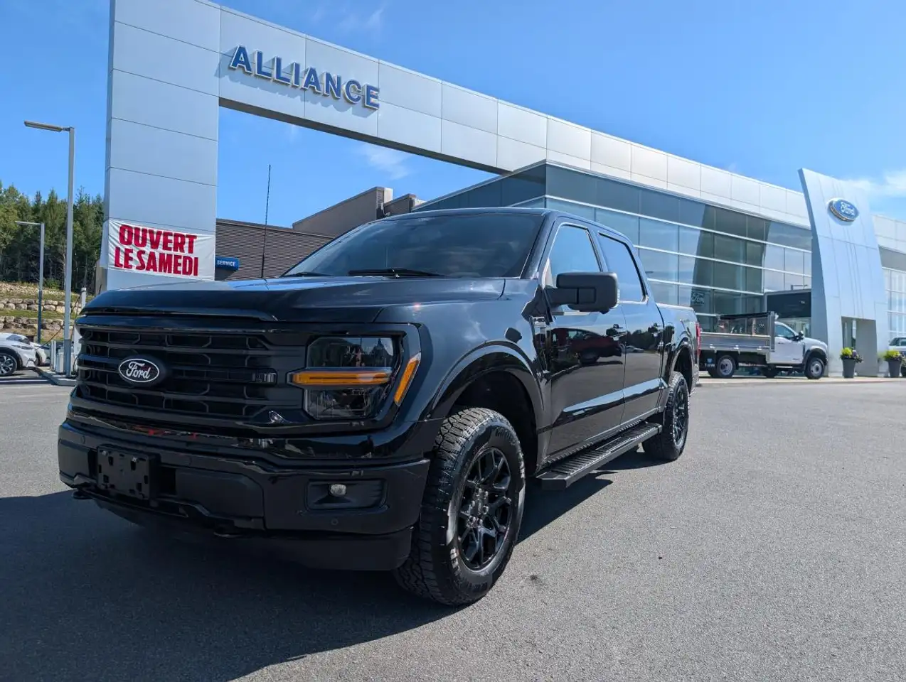Ford F-150 - Image 1