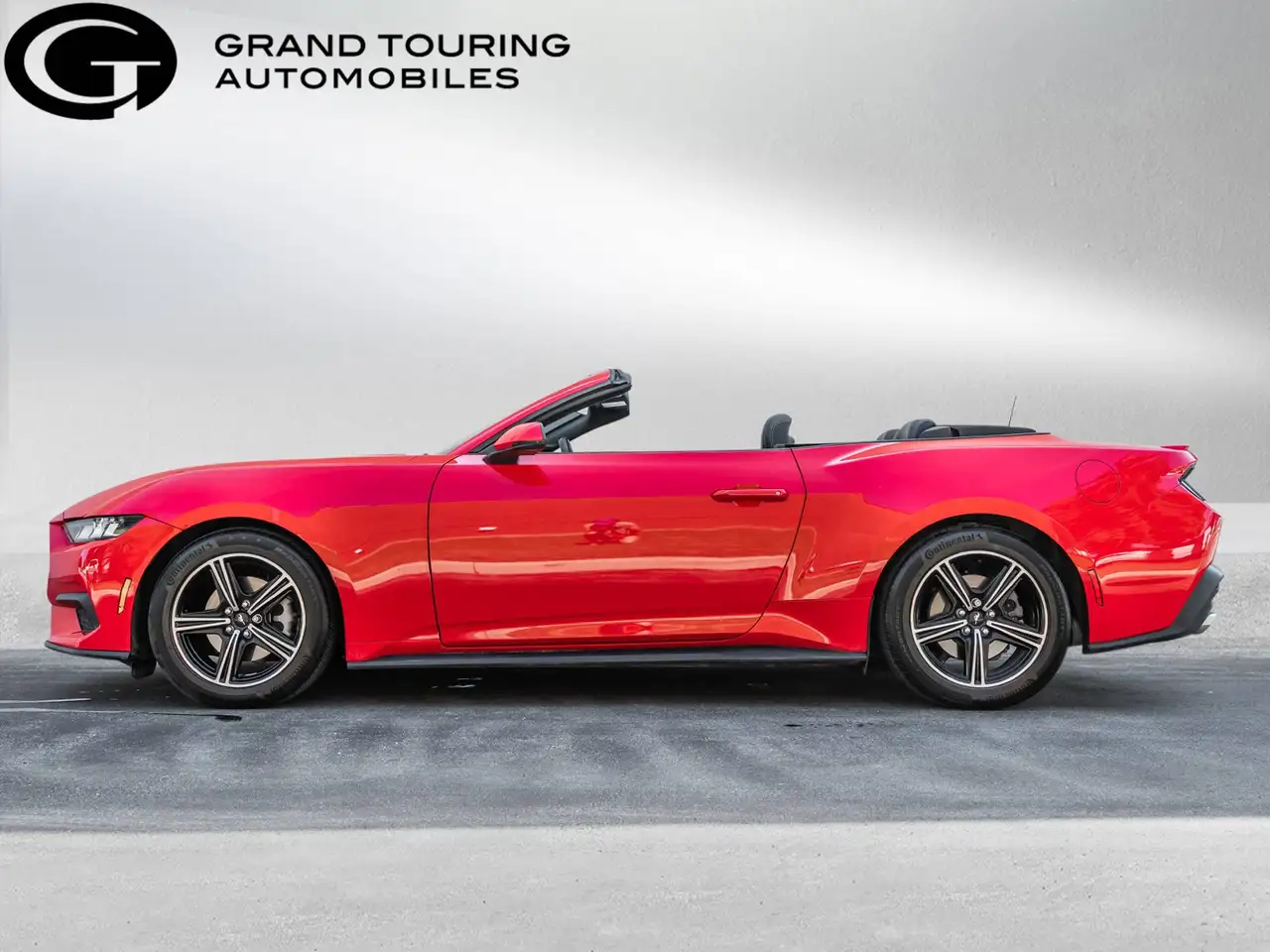 Ford Mustang - Image 3