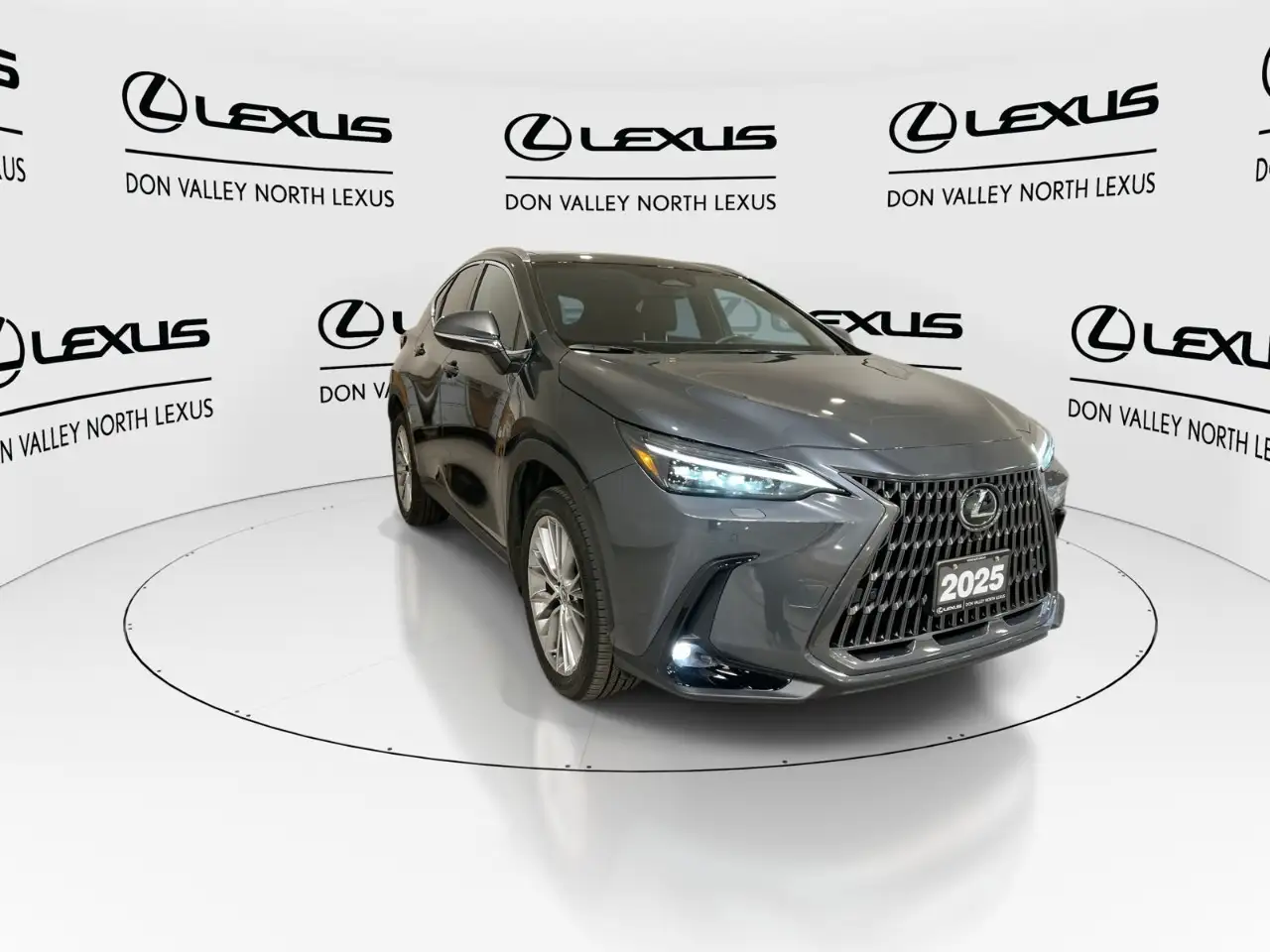 Lexus NX - Image 2