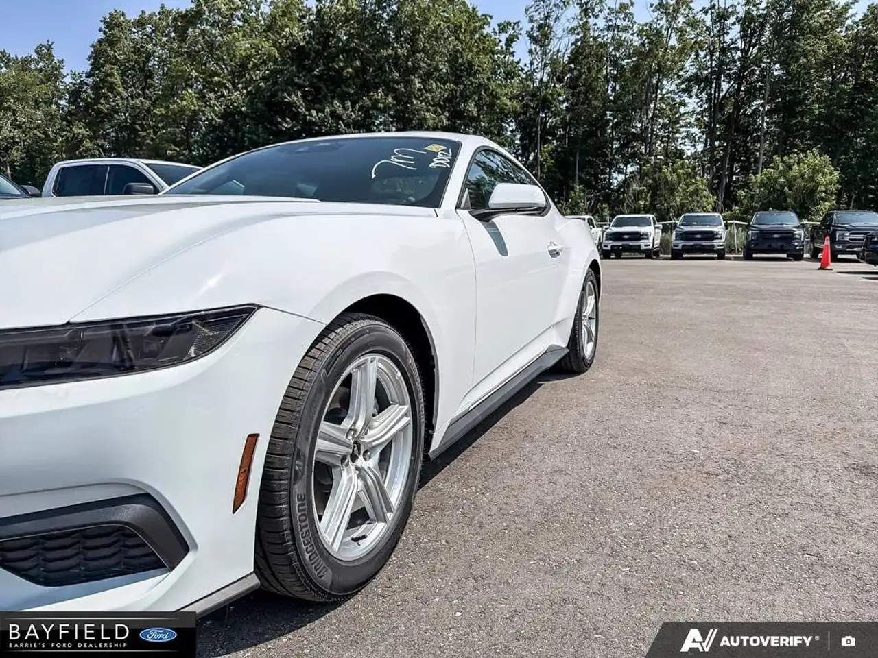 Ford Mustang - Image 7