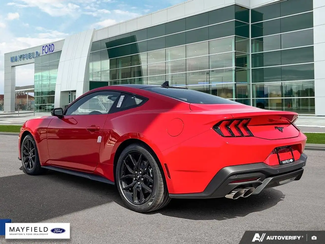 Ford Mustang - Image 4