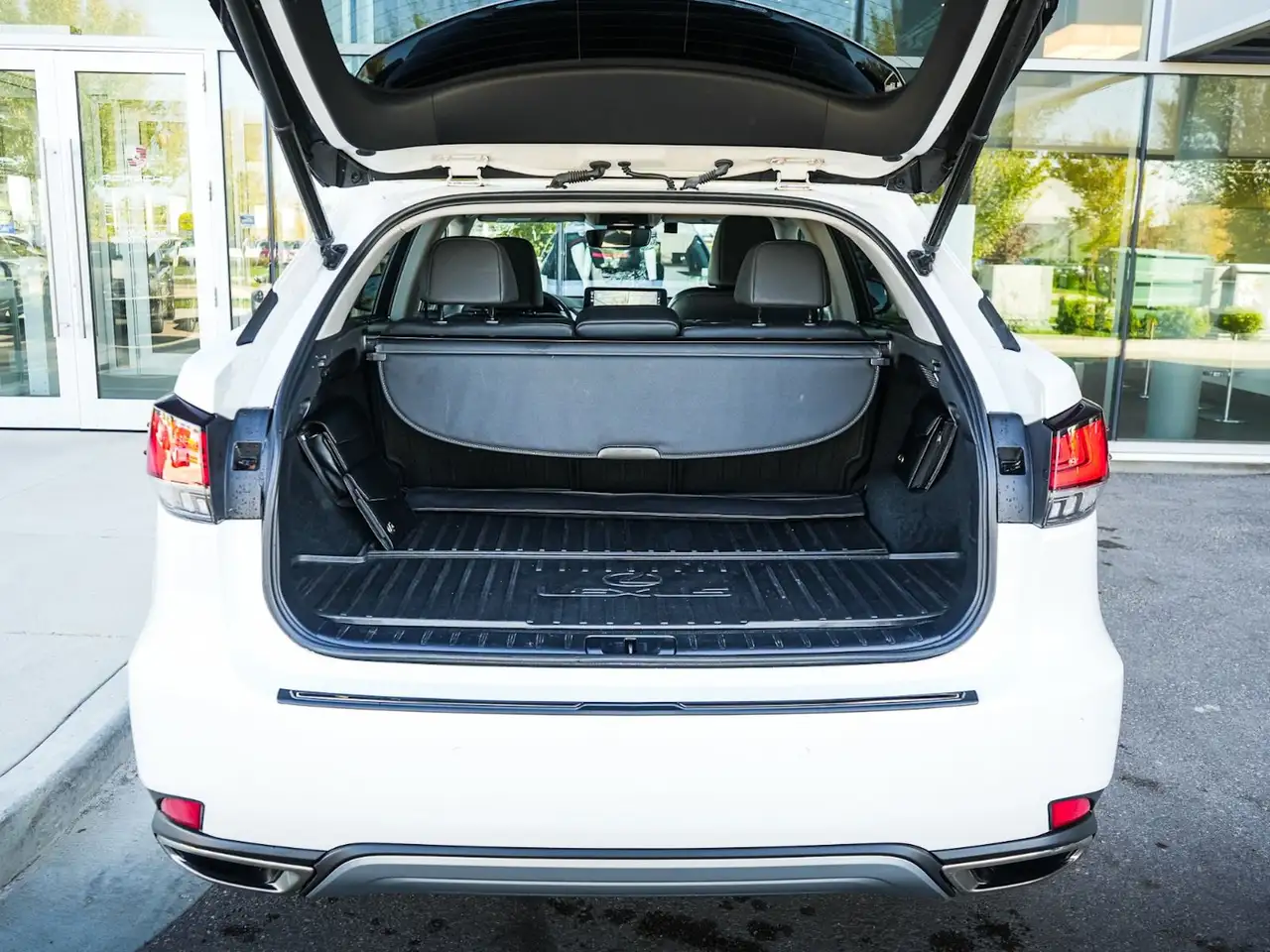 Lexus RX - Image 14