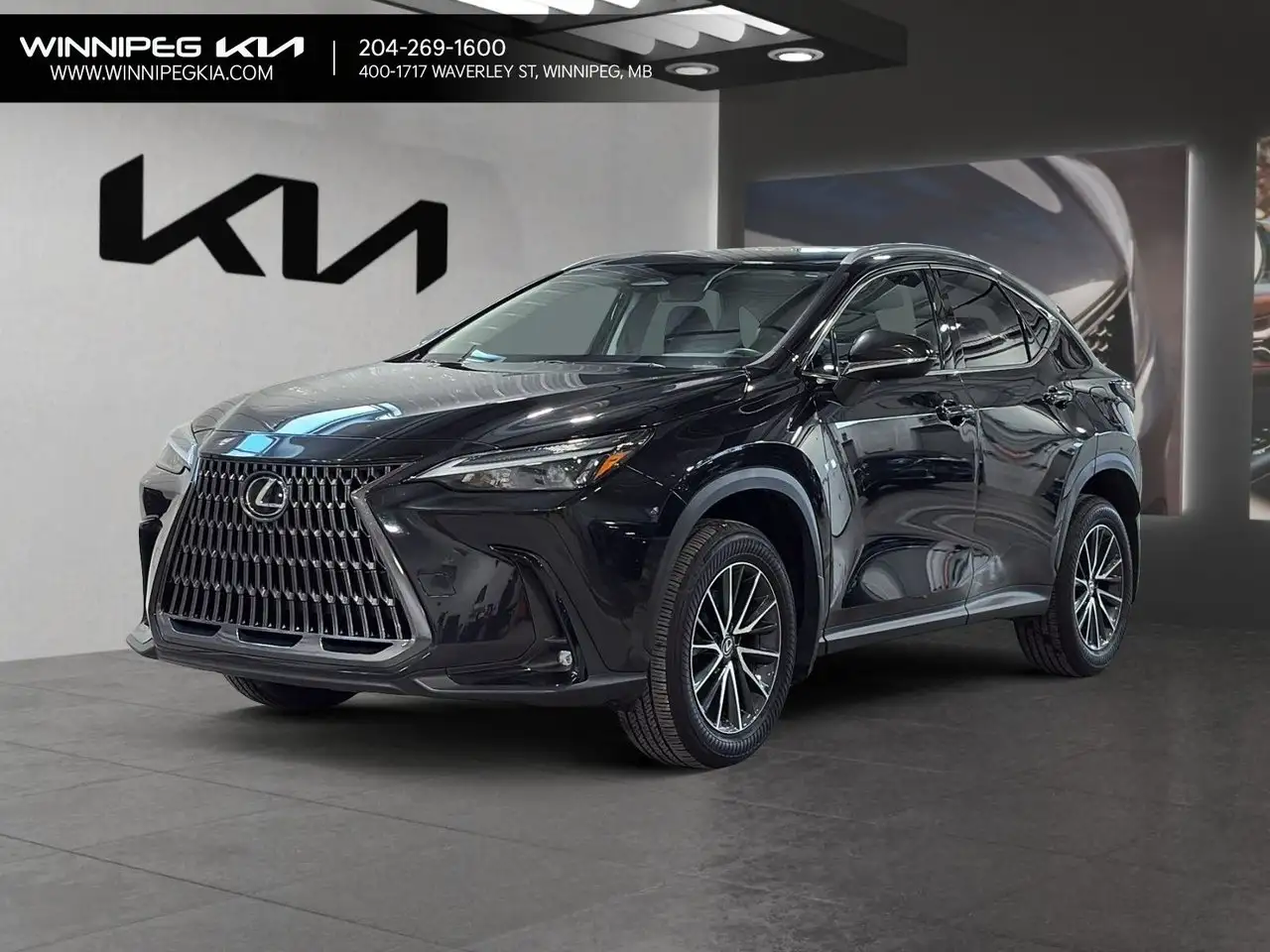 Lexus NX - Image 1