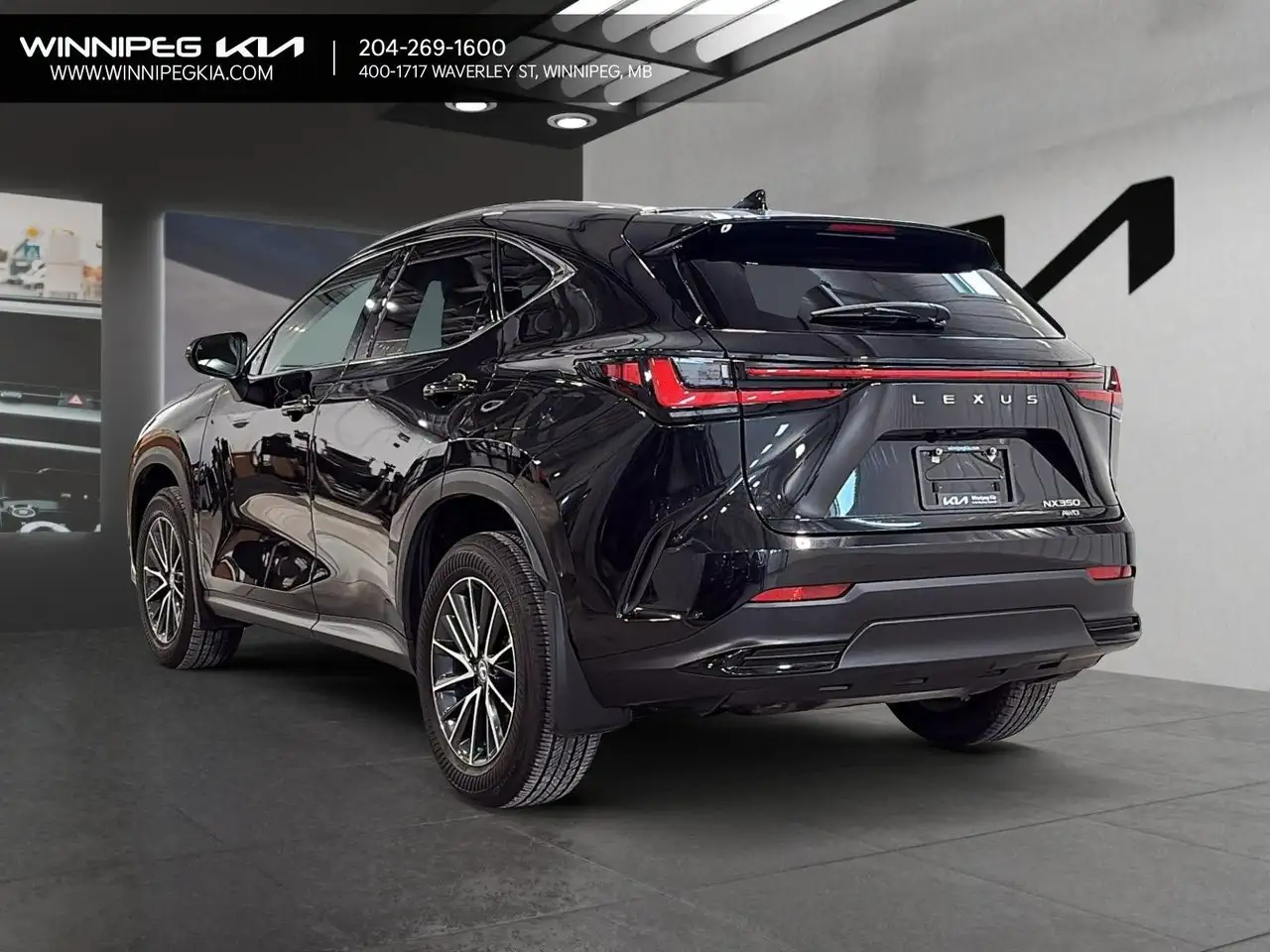 Lexus NX - Image 4
