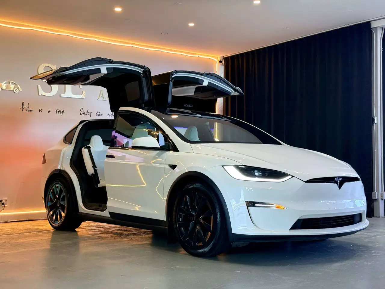 Tesla Model X - Image 1