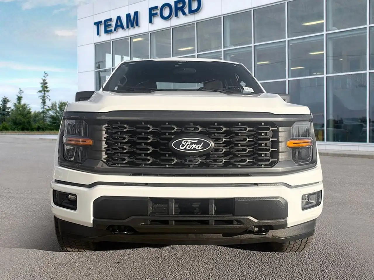 Ford F-150 - Image 2