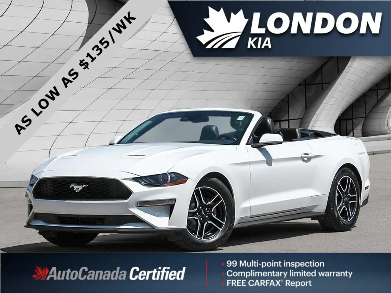 Ford Mustang - Image 1