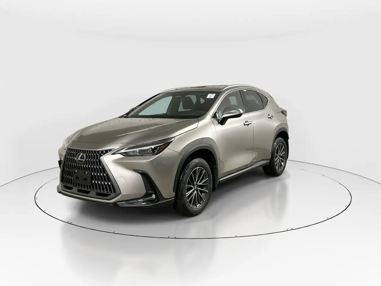 Lexus NX - Image 3