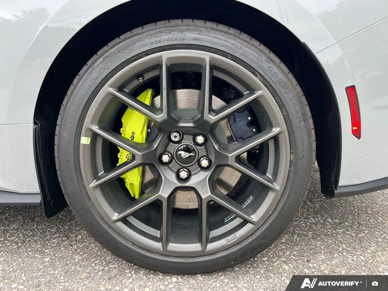 Ford Mustang - Image 10