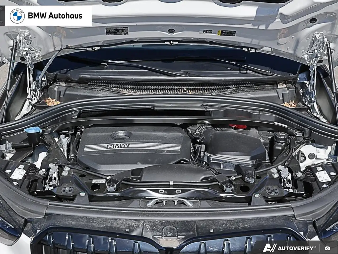 BMW X1 - Image 8