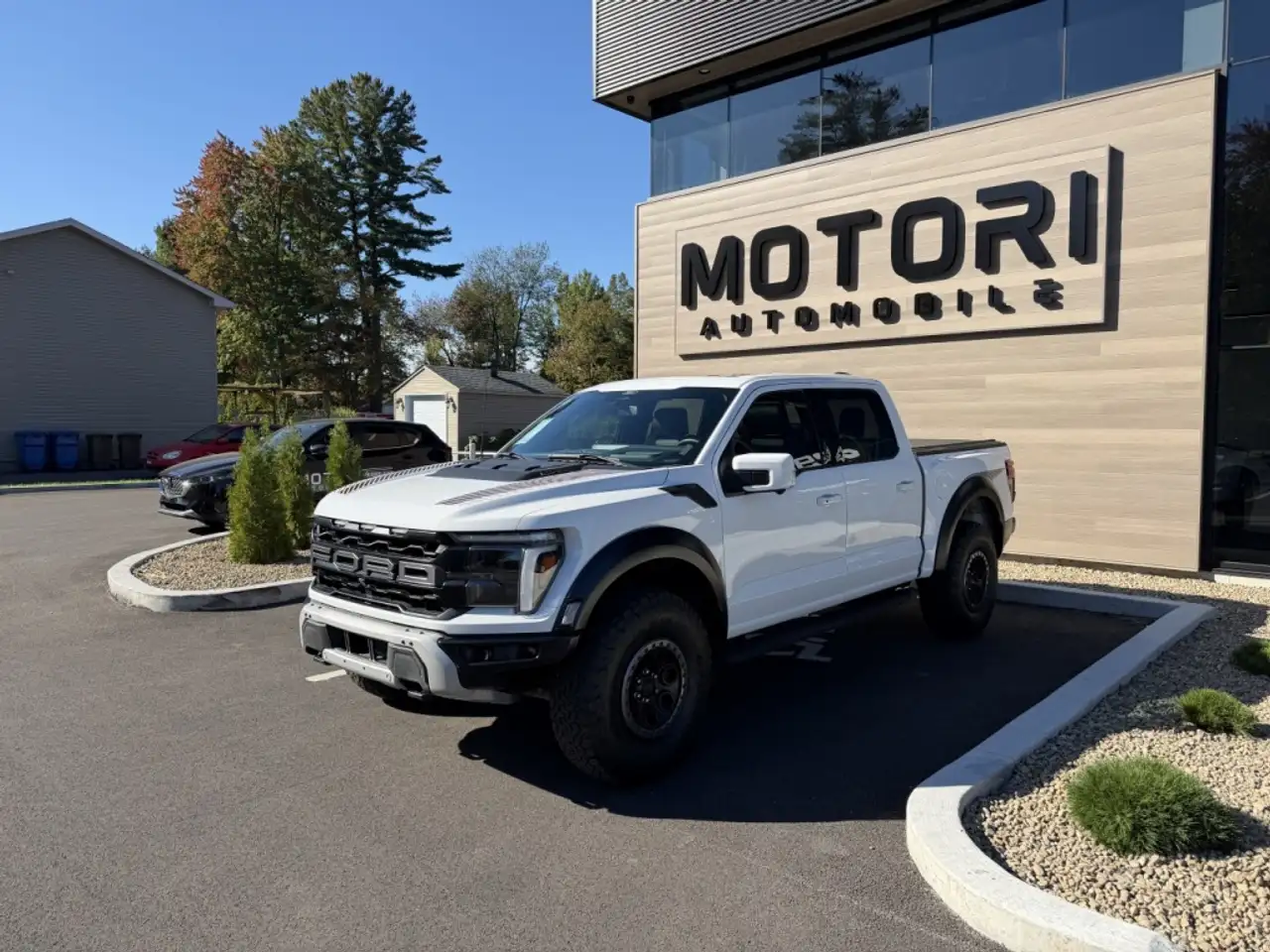Ford F-150 - Image 1