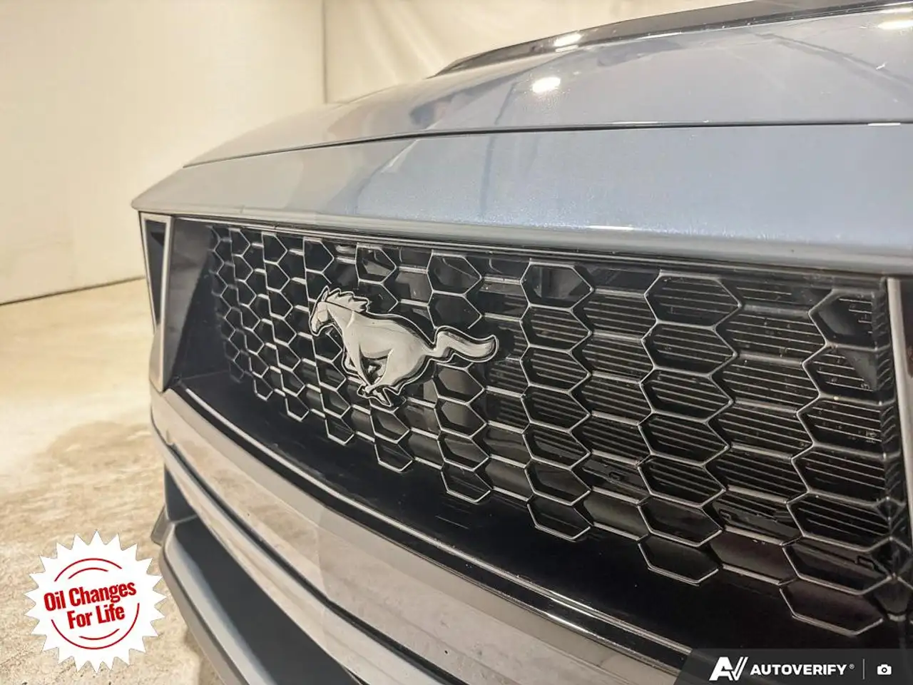 Ford Mustang - Image 14