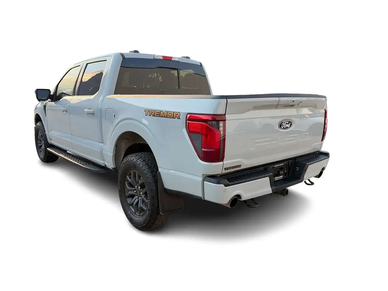 Ford F-150 - Image 11