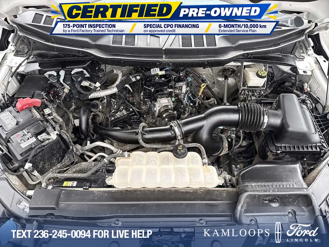 Ford F-150 - Image 10