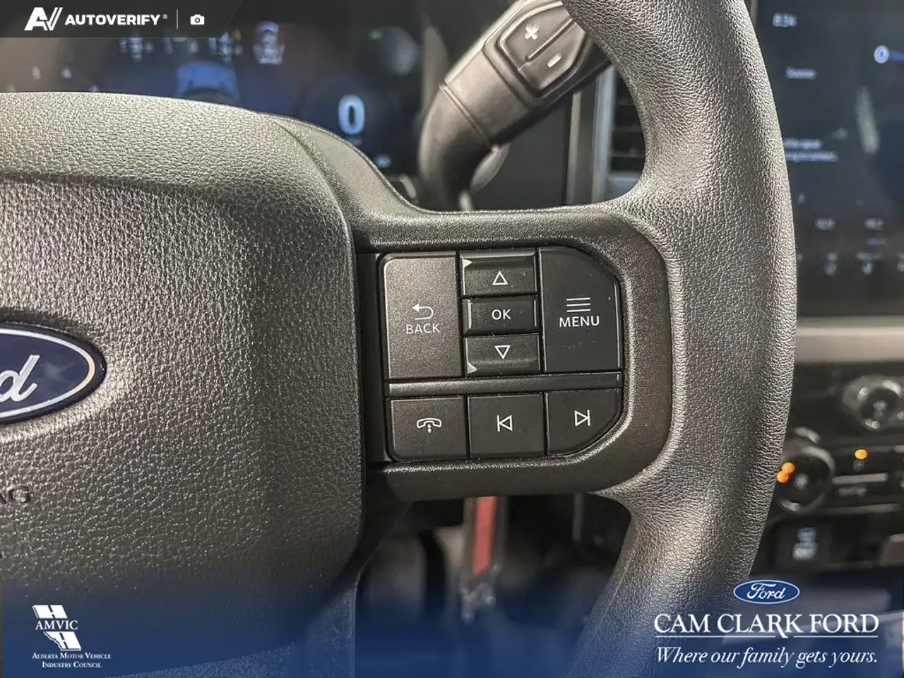 Ford F-150 - Image 16