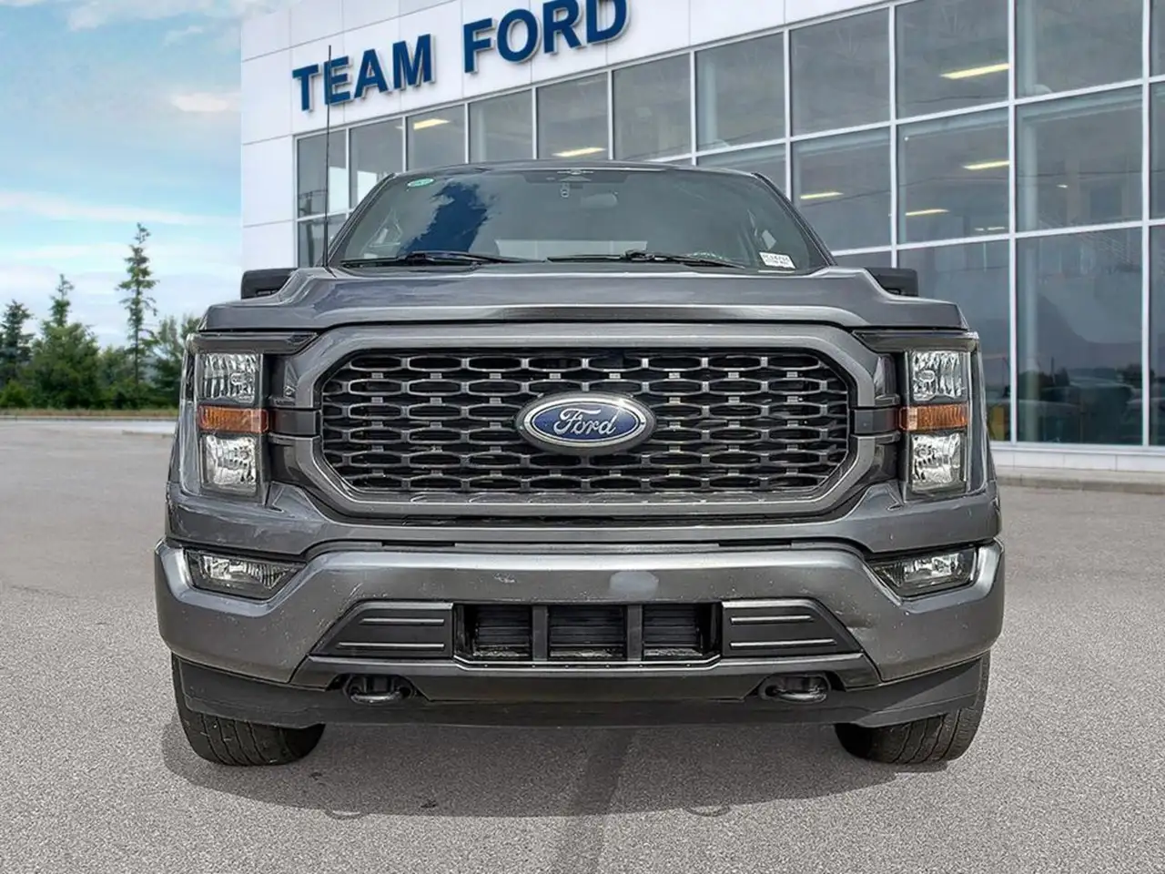 Ford F-150 - Image 2