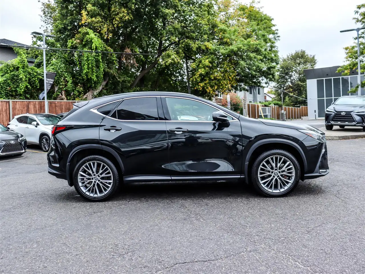Lexus NX 350 - Image 4