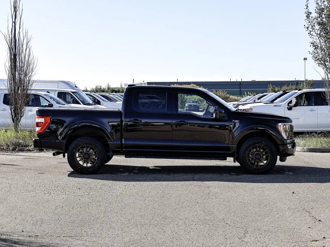 Ford F-150 - Image 14