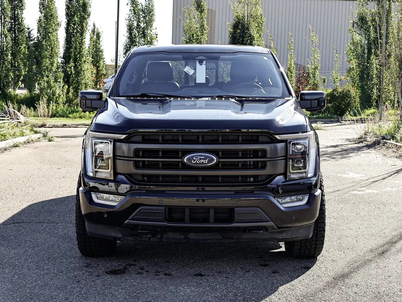 Ford F-150 - Image 3