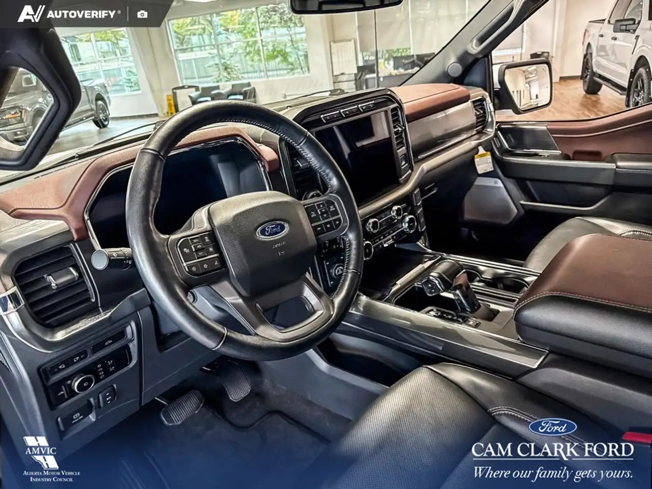 Ford F-150 - Image 13