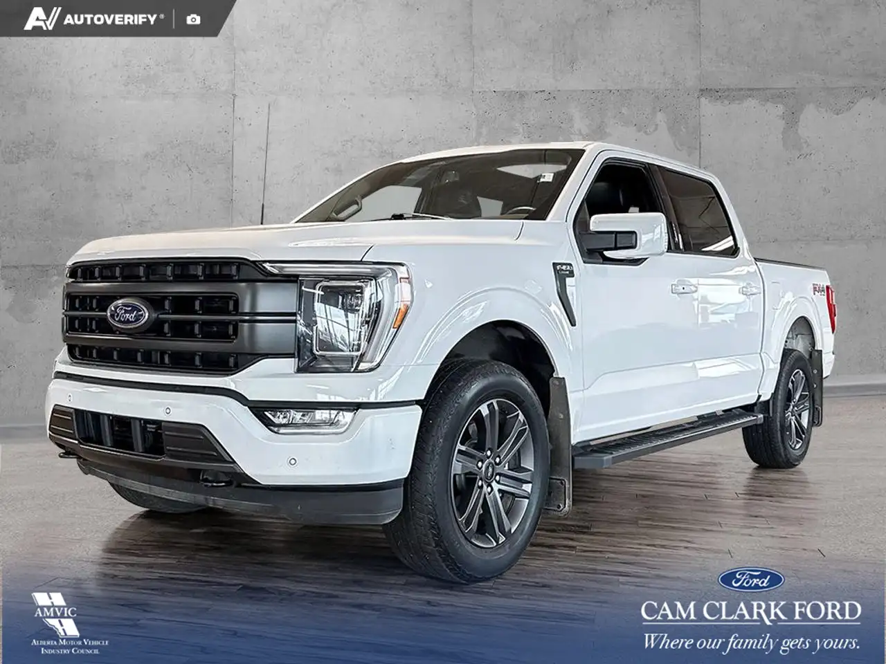 Ford F-150 - Image 1