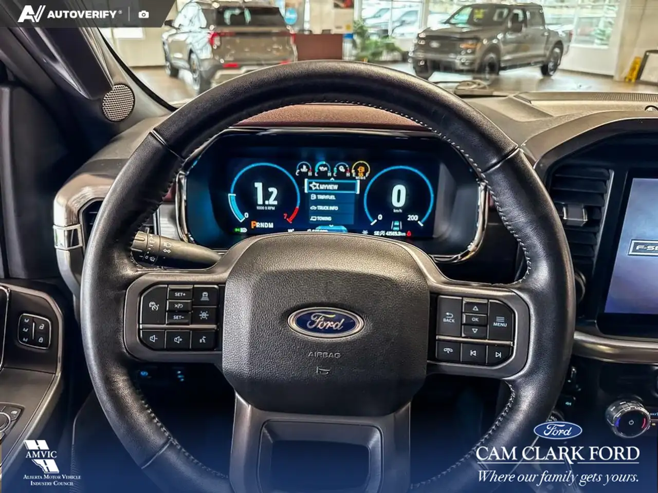 Ford F-150 - Image 14