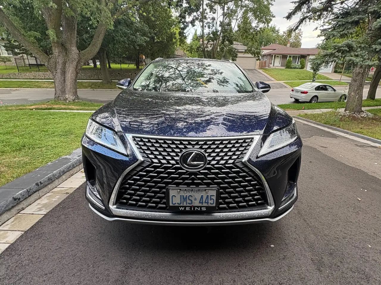 Lexus RX - Image 2