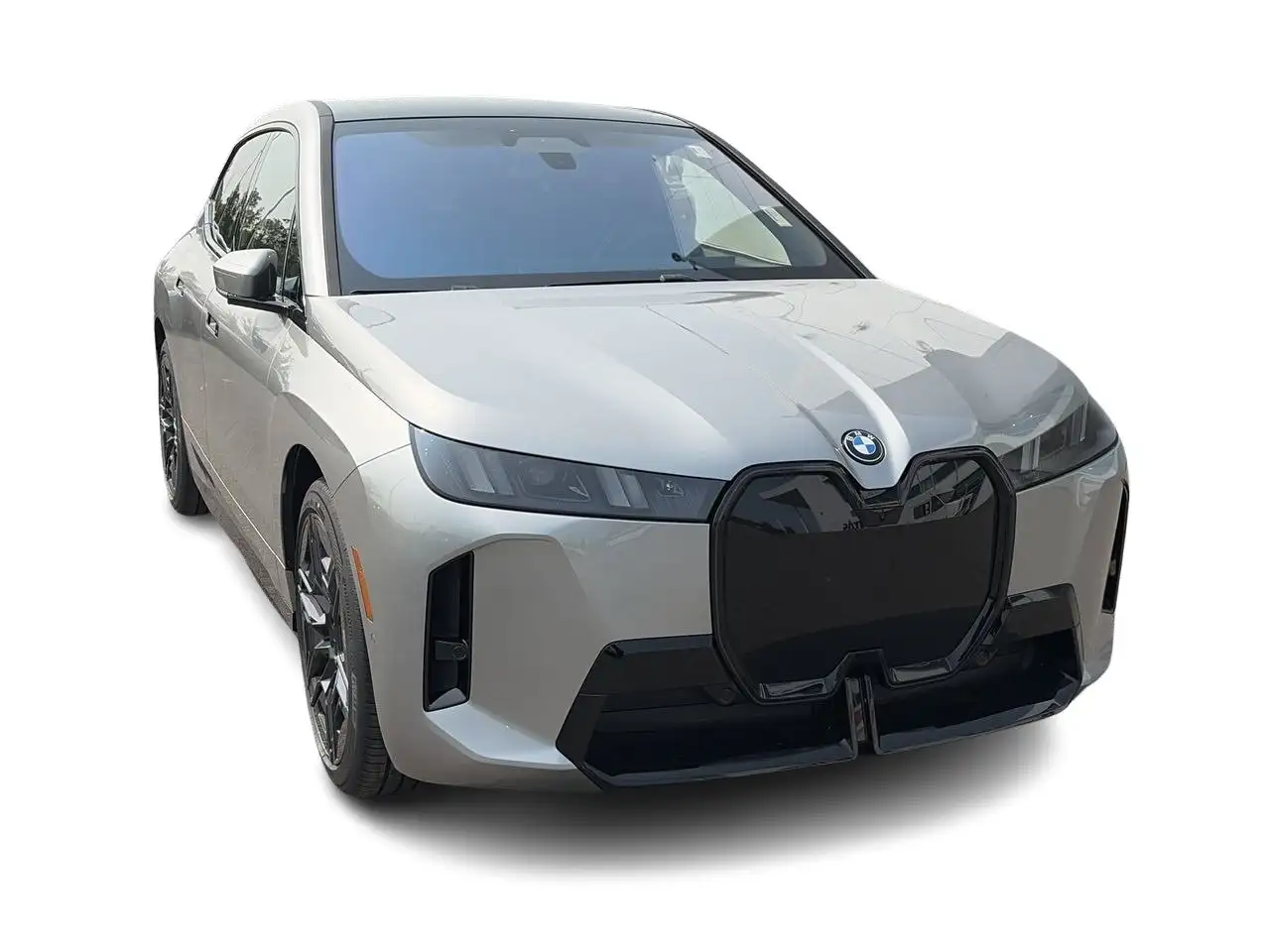 BMW iX - Image 3