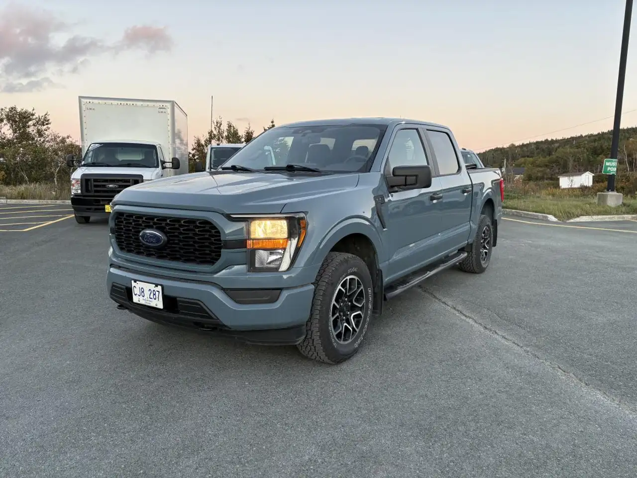 Ford F-150 - Image 1