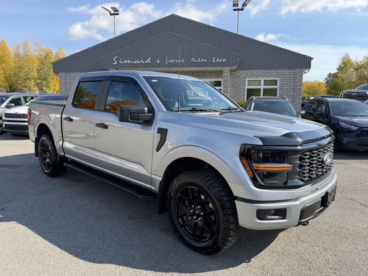 Ford F-150 - Image 1