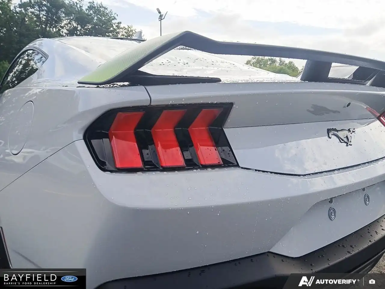 Ford Mustang - Image 11