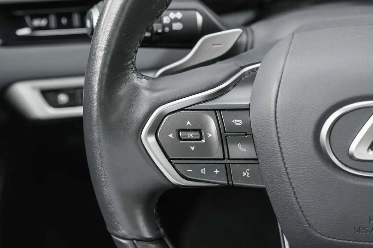 Lexus RX - Image 28